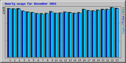 Hourly usage for December 2021