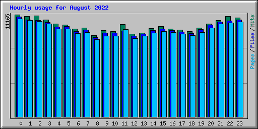 Hourly usage for August 2022